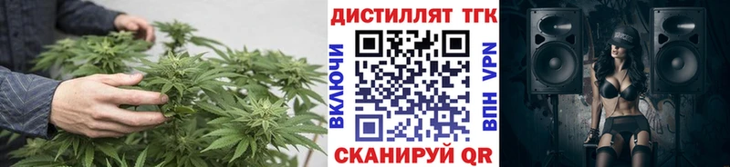 ТГК концентрат  блэк спрут как войти  Бобров 